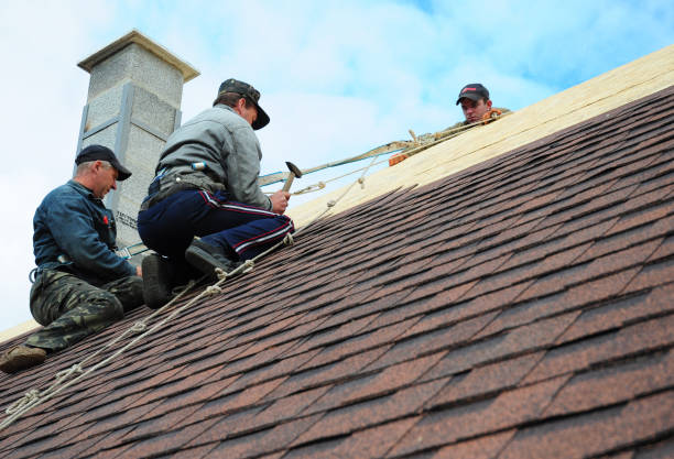 Best Gutter Installation and Roofing  in Montgomery, TX